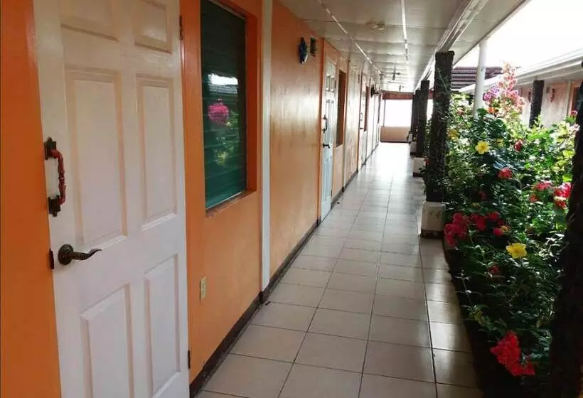 هاستل Hostal Miraflores