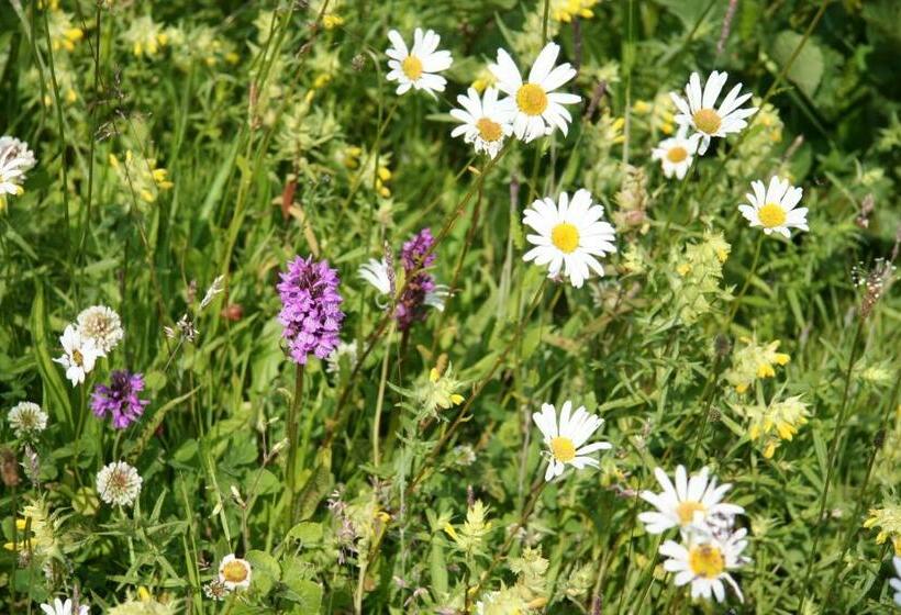 B&b De Oude Molensteen