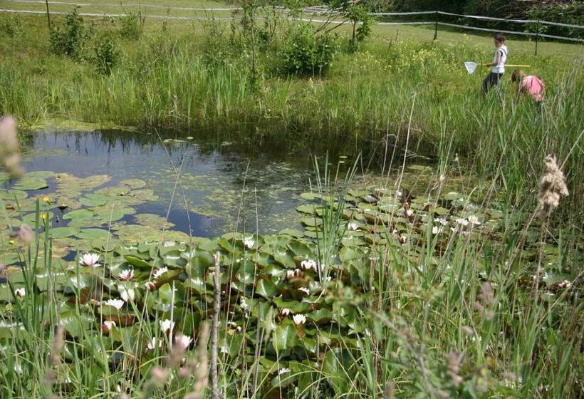 B&b De Oude Molensteen
