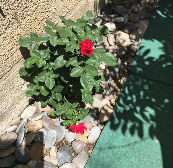 مبيت وإفطار Lepiver