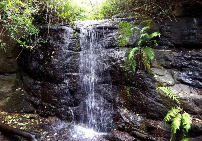 Bed and Breakfast Riverbend Suite Rooms