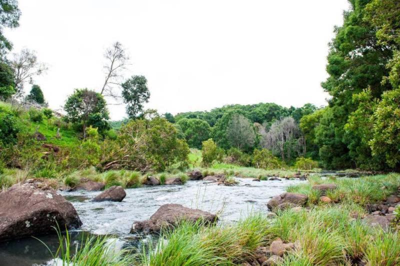 ベッドアンドブレックファースト Riverbend Suite Rooms