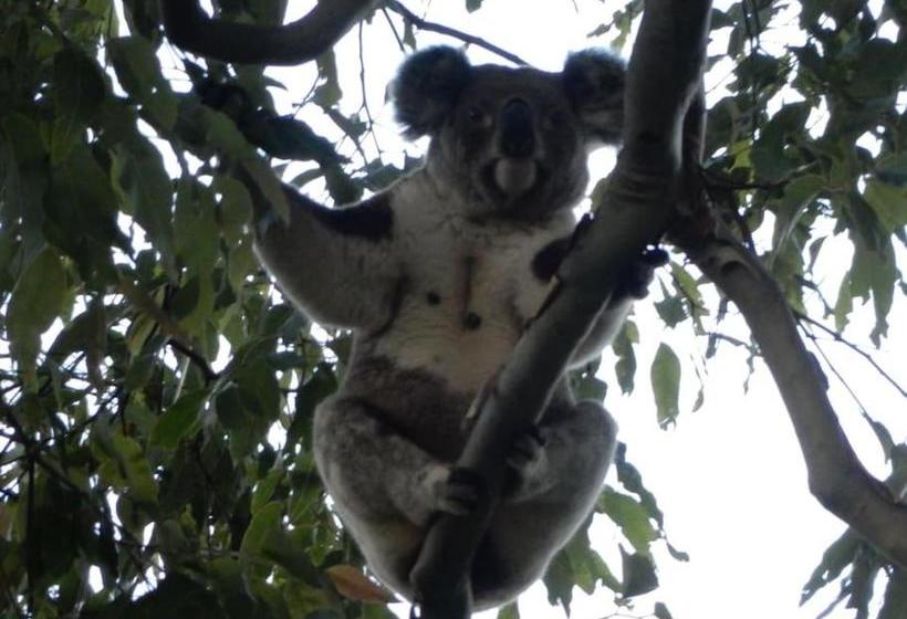 ベッドアンドブレックファースト Riverbend Suite Rooms