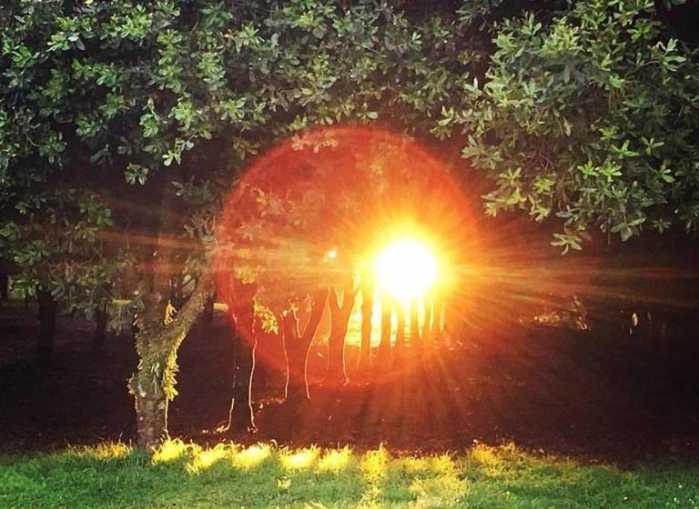 ベッドアンドブレックファースト Riverbend Suite Rooms