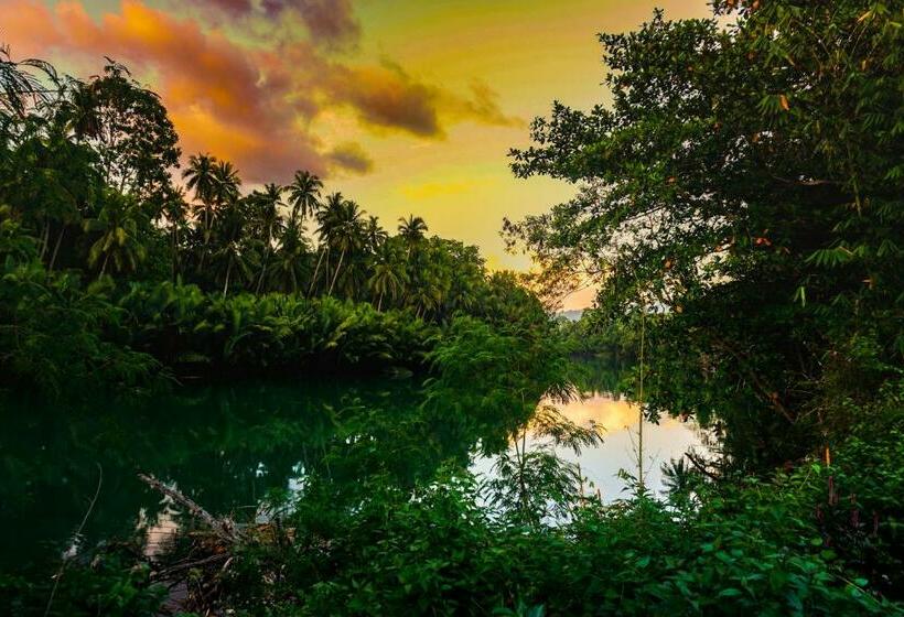 צימר Water To Forest Ecolodge