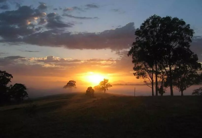 Bellbirdhill Bed & Breakfast