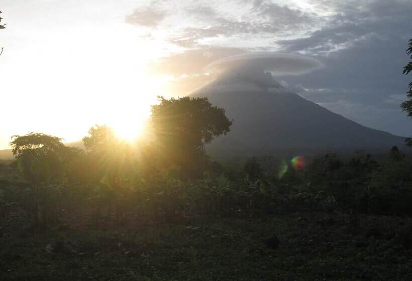 Hostal Tecali   Hostel