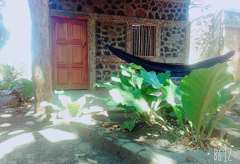 Hostal Tecali   Hostel