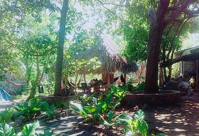 Hostal Tecali   Hostel