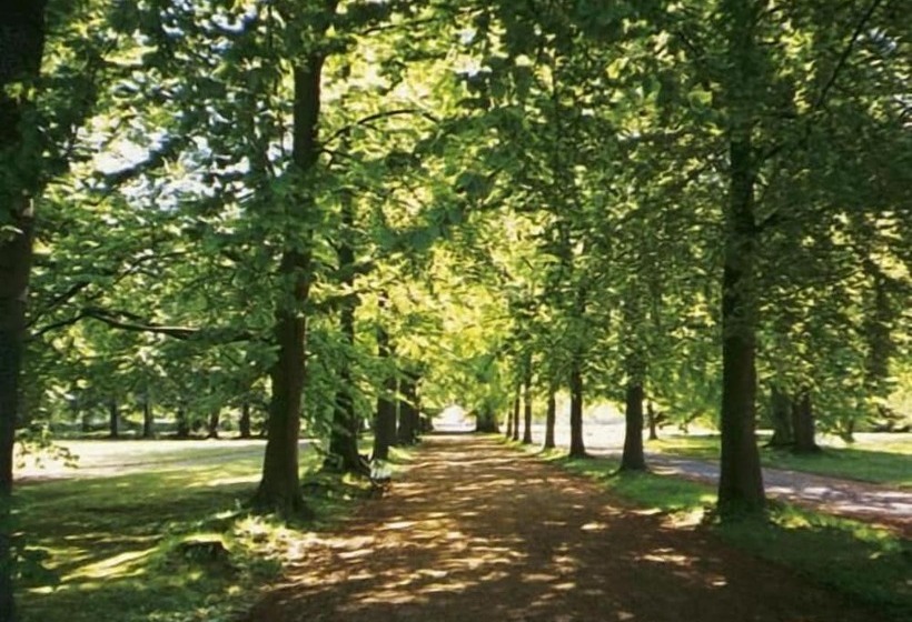 ホテル Backaskog Slott