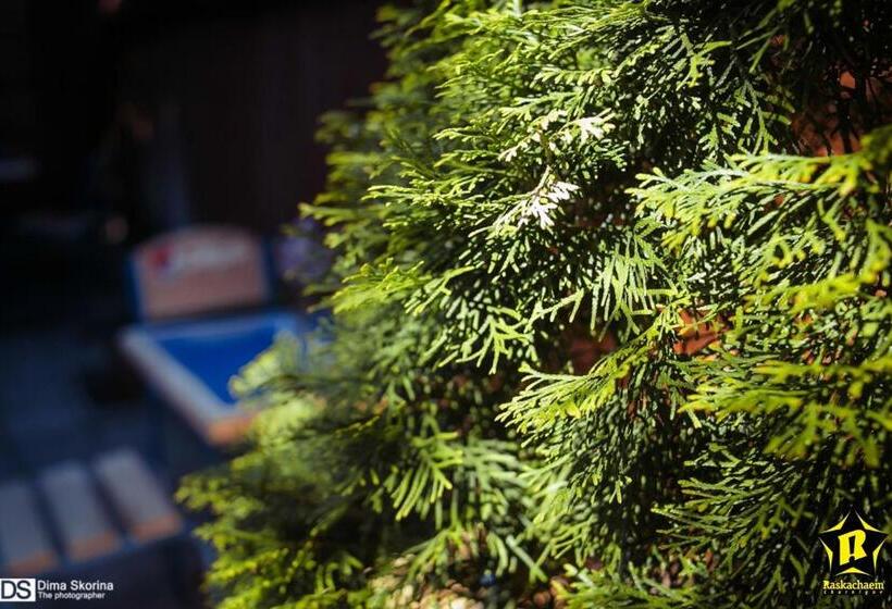 בית מלון כפרי Hola