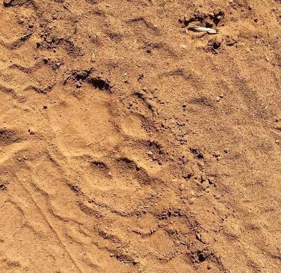 ホテル Lions Place