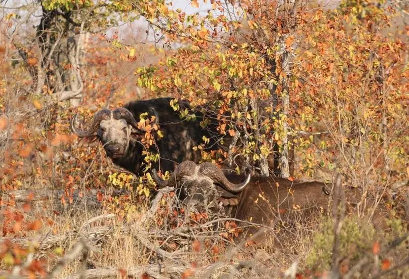 ホテル Lions Place