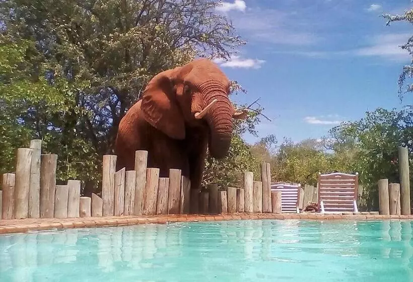 ホテル Lions Place