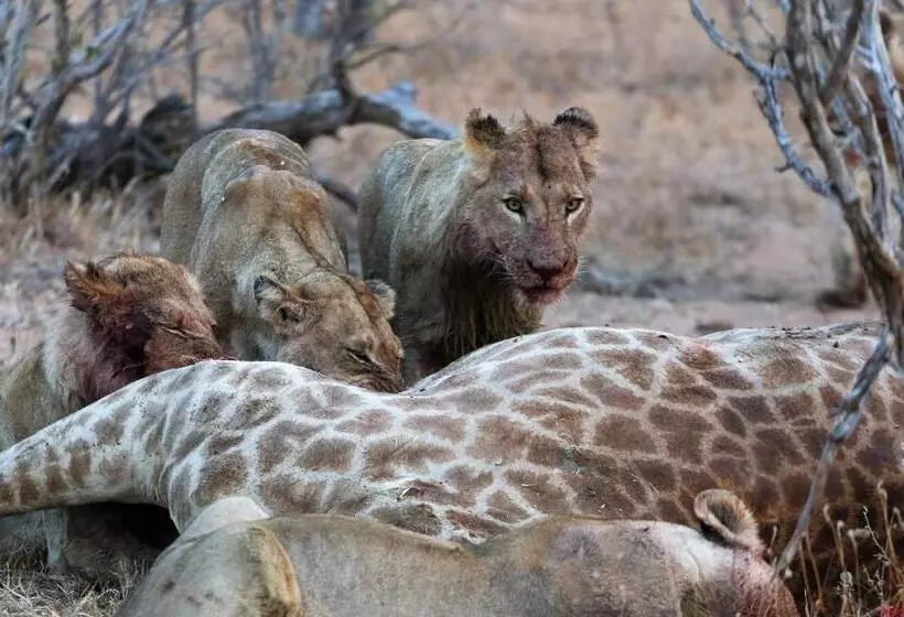 ホテル Lions Place