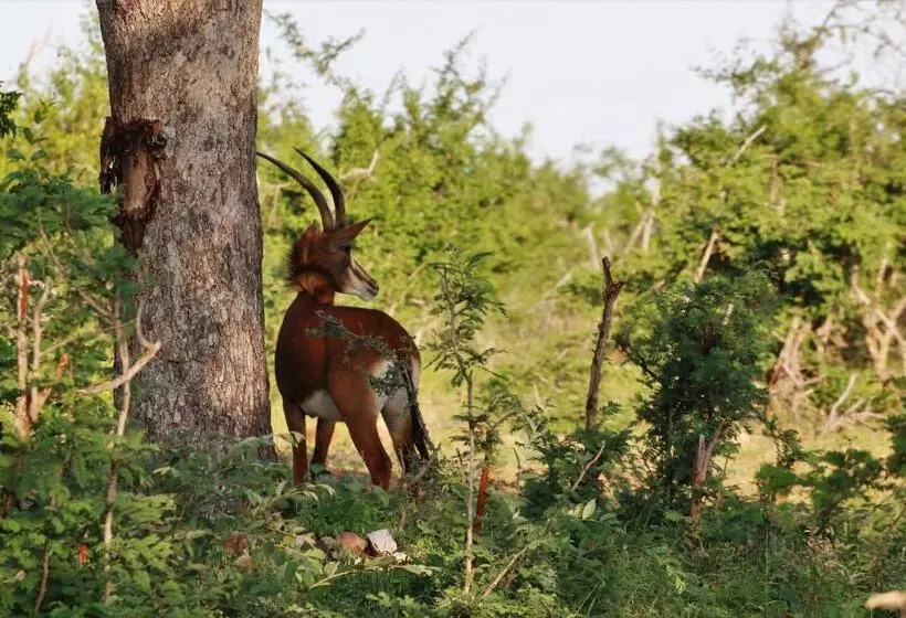 ホテル Lions Place