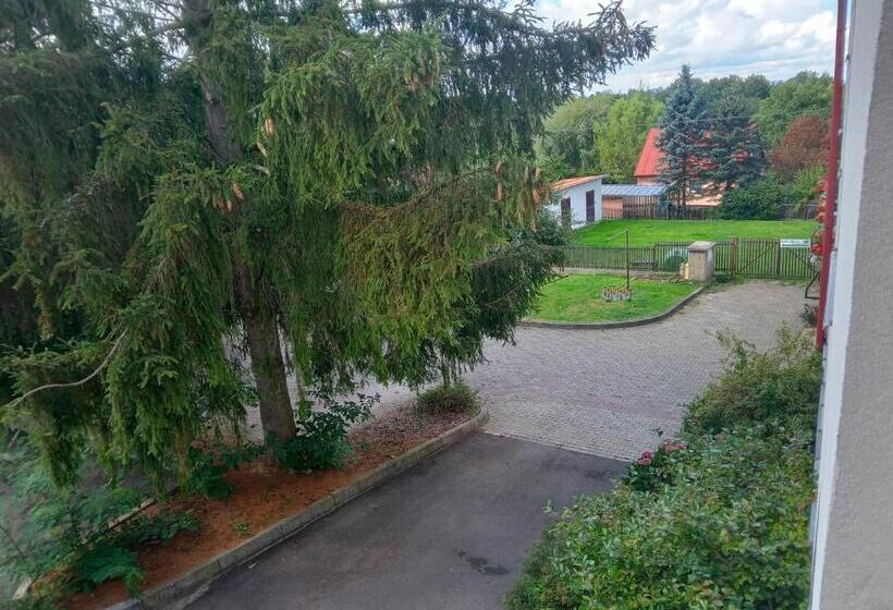 ホテル U Zeleného Stromu   Zum Grünen Baum