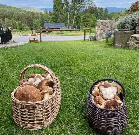 Wellness Hotel Florián české žleby