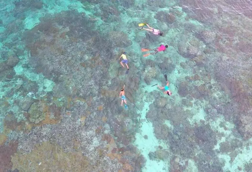 Murex Bangka Dive Resort