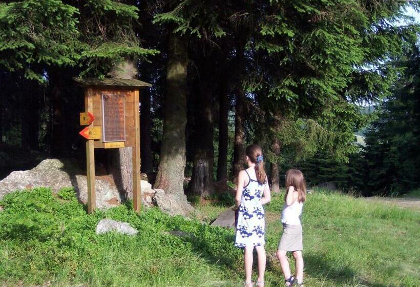 بنسيون Angerhof