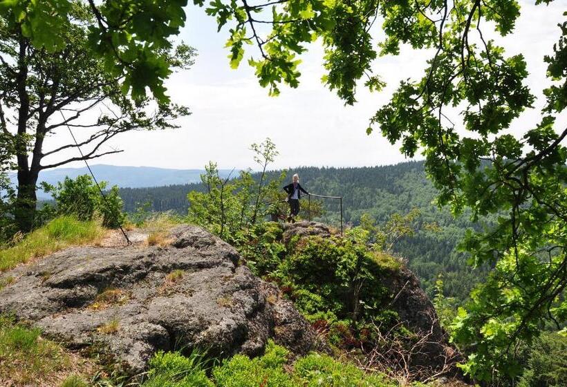 بنسيون Angerhof