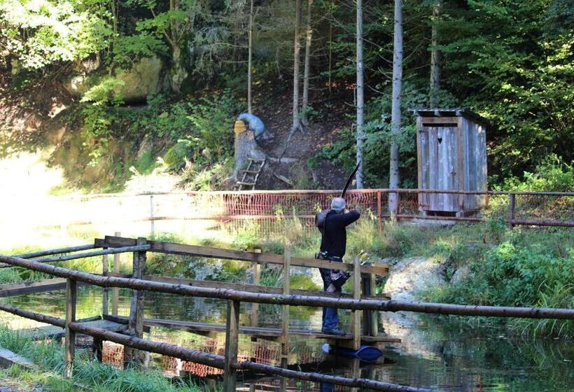 بنسيون Angerhof