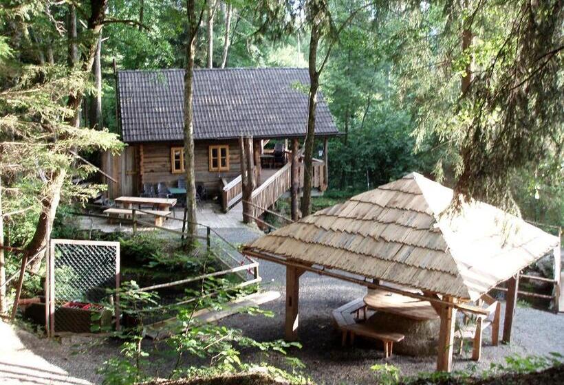 بنسيون Angerhof