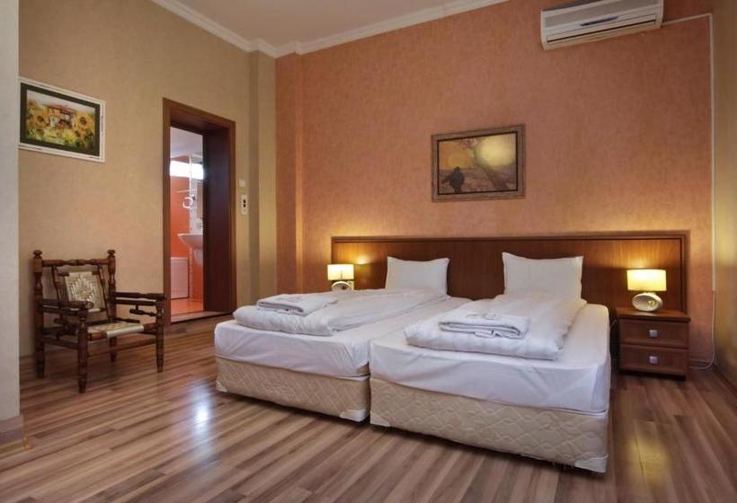 بنسيون Anita House