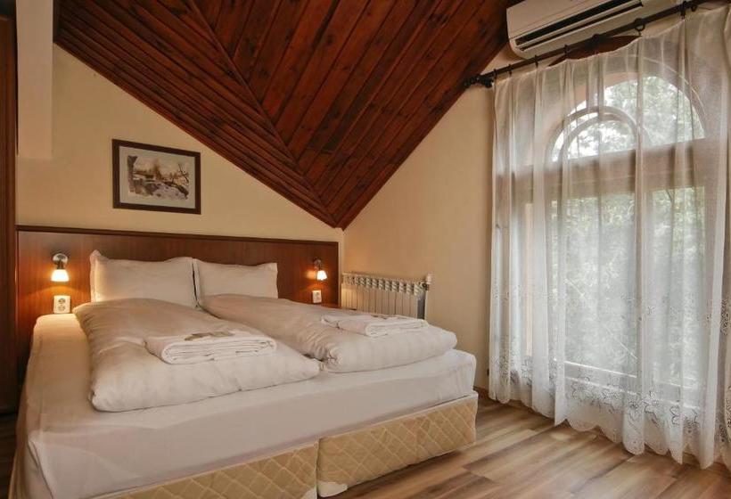 بنسيون Anita House