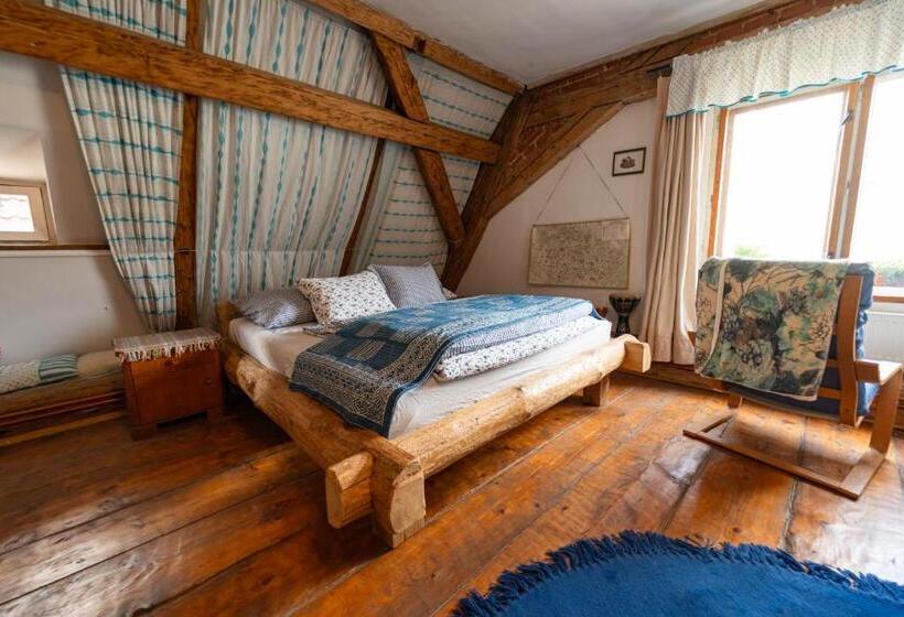 بنسيون Dům V Centru