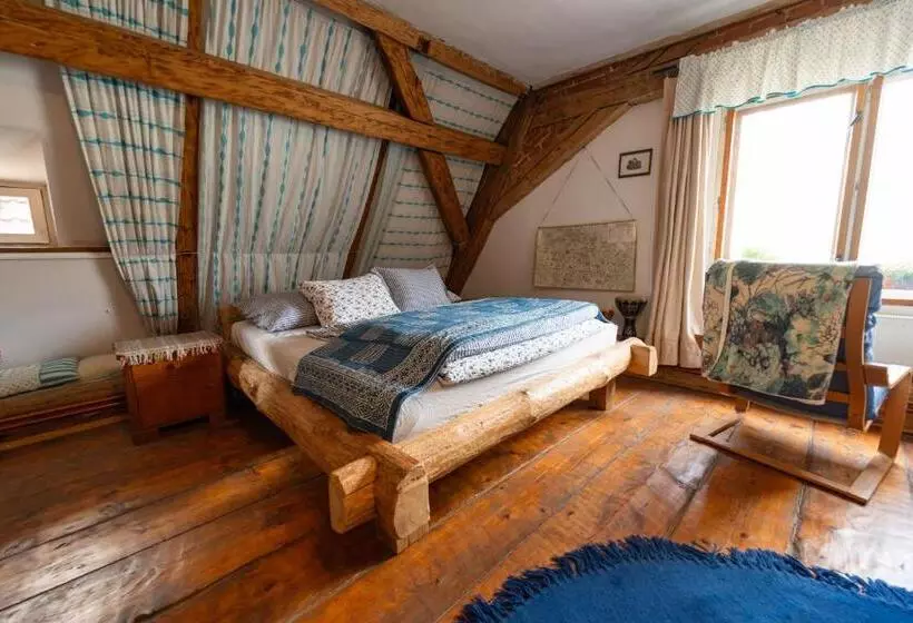 Majatalo Dům V Centru