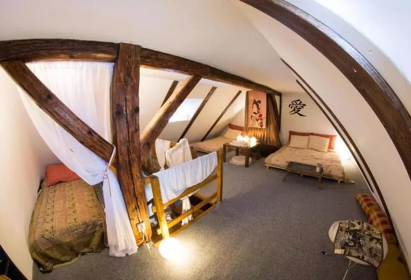 Majatalo Dům V Centru