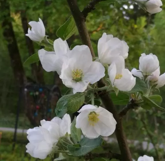 ペンション Eden Billnäs