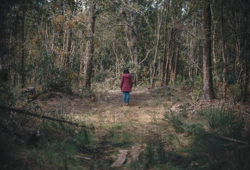 פנסיון Hostal Casa Bosque