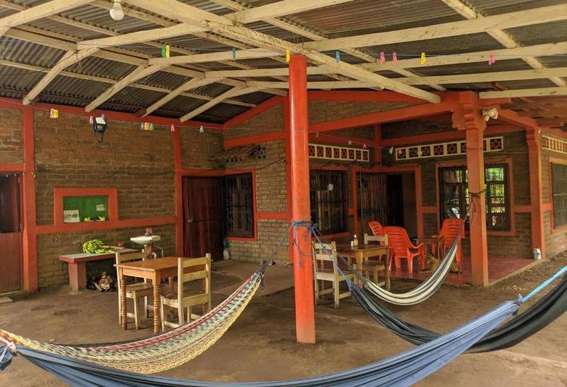 پانسیون El Güis Hostel