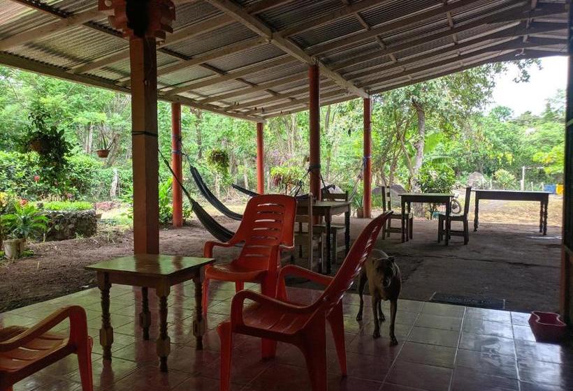 پانسیون El Güis Hostel