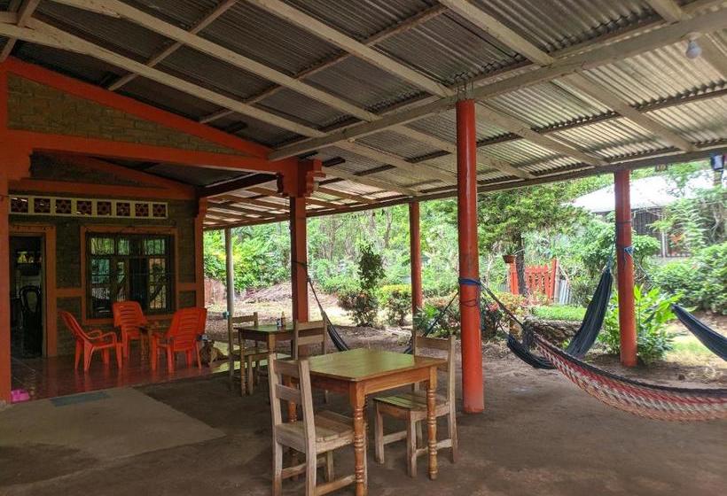 پانسیون El Güis Hostel