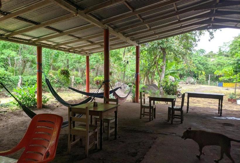 پانسیون El Güis Hostel