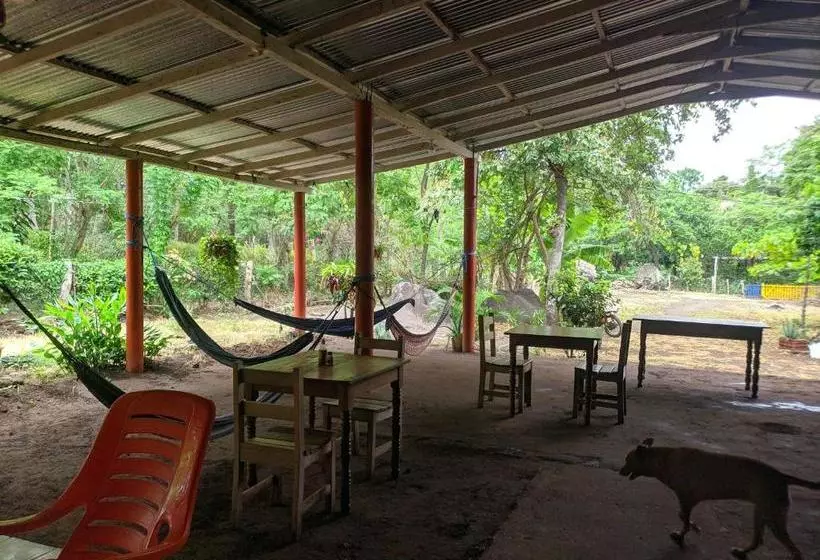 Pensão El Güis Hostel