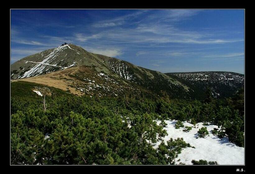 ペンション Penzion Hotelu Central