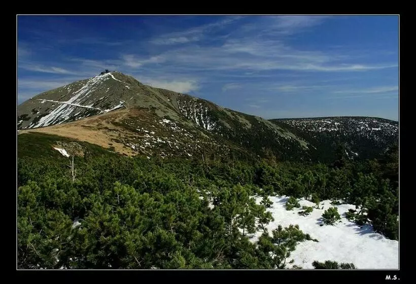 Majatalo Penzion Hotelu Central