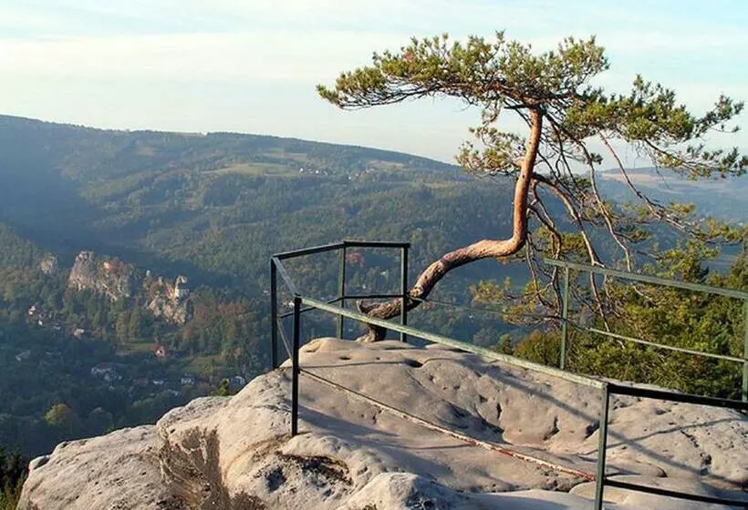 Majatalo Penzion Hotelu Central