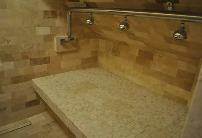 Majatalo Transylvania Villa & Spa