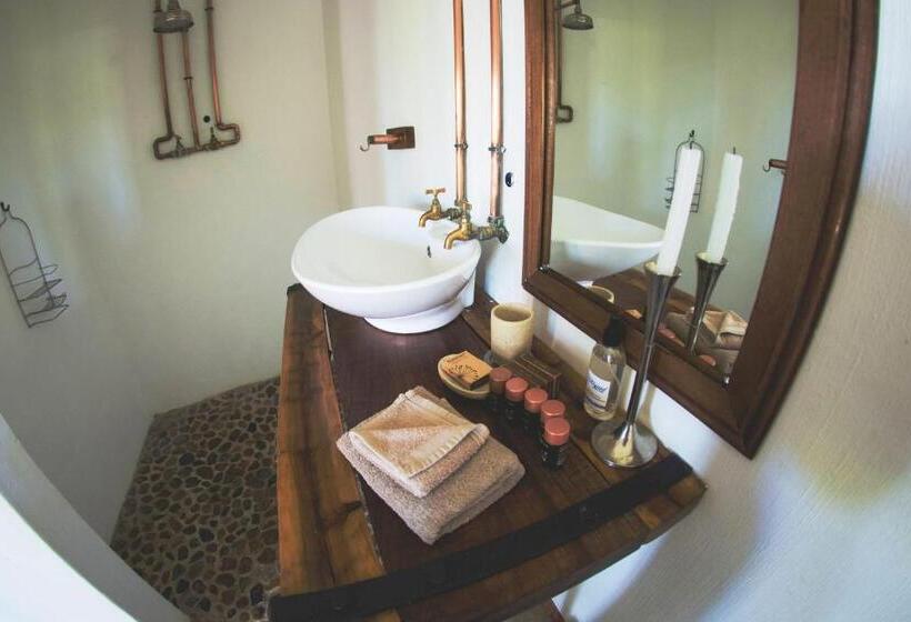 펜션 Upington African Vineyard Boutique Hotel & Spa