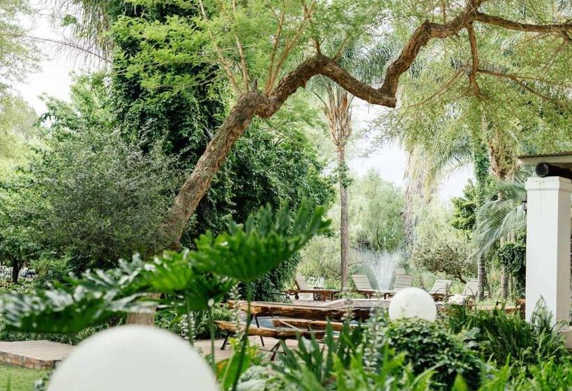 펜션 Upington African Vineyard Boutique Hotel & Spa