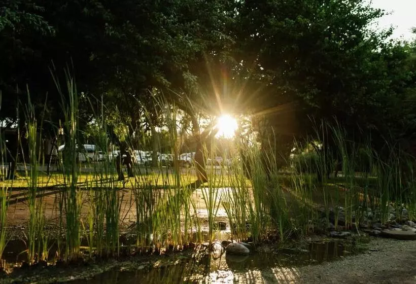 Majatalo Upington African Vineyard Boutique Hotel & Spa