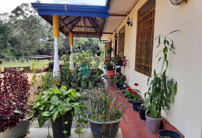 بنسيون Vegetable Garden House