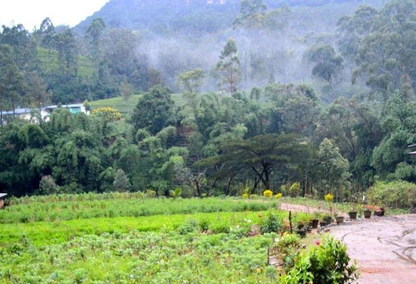 بنسيون Vegetable Garden House