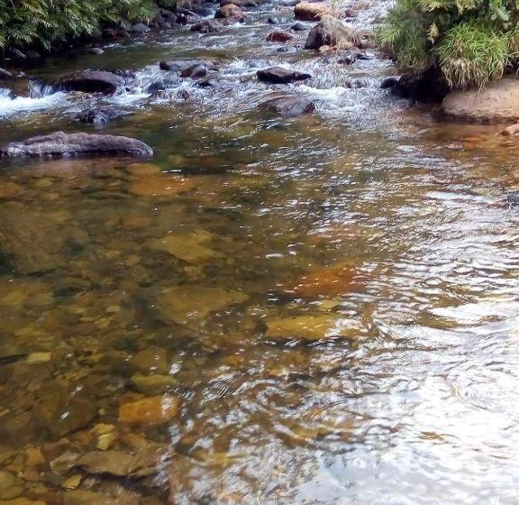 بنسيون Vegetable Garden House