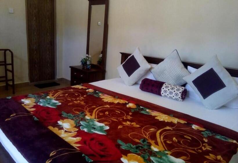 بنسيون Vegetable Garden House